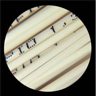 Tenis struna Polyfibre TCS Rapid - kolut